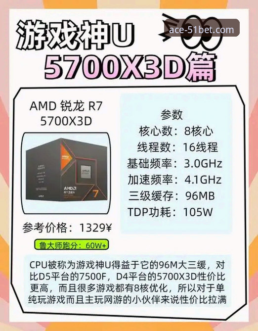 资深玩家剖析：为何51棋牌电脑版是棋牌爱好者的必备之选